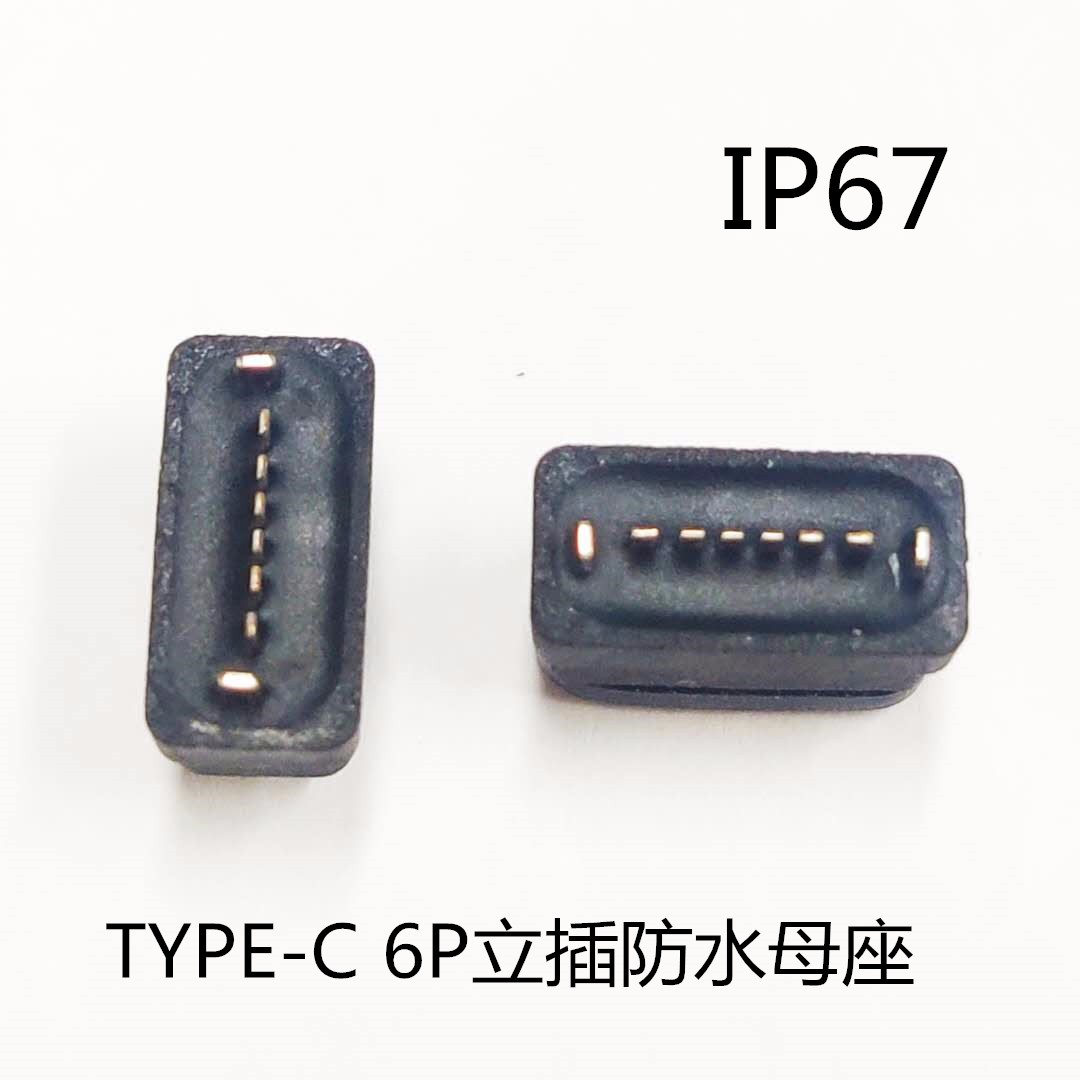 TYPE C 6P防水母座 180度直插短體兩腳 全塑帶防水圈 點膠